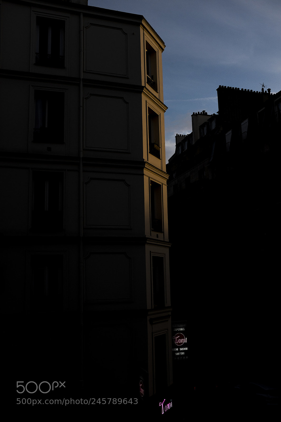 Fujifilm X100S sample photo. Palace photography
