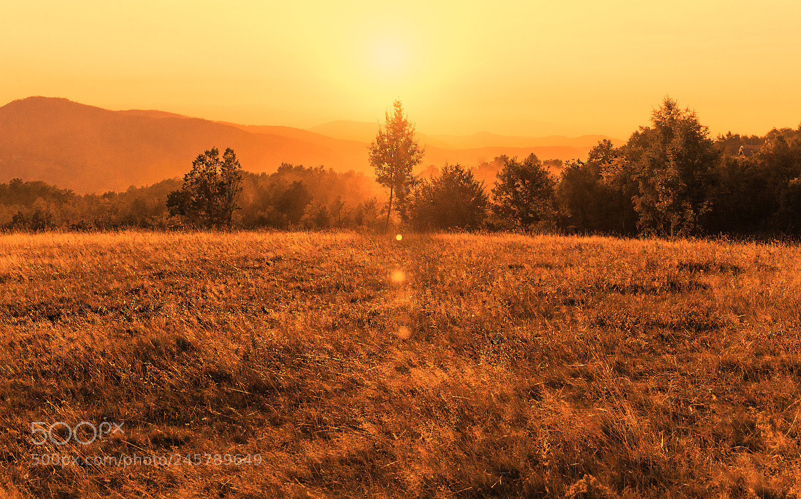 Nikon D610 sample photo. Sunset field photography