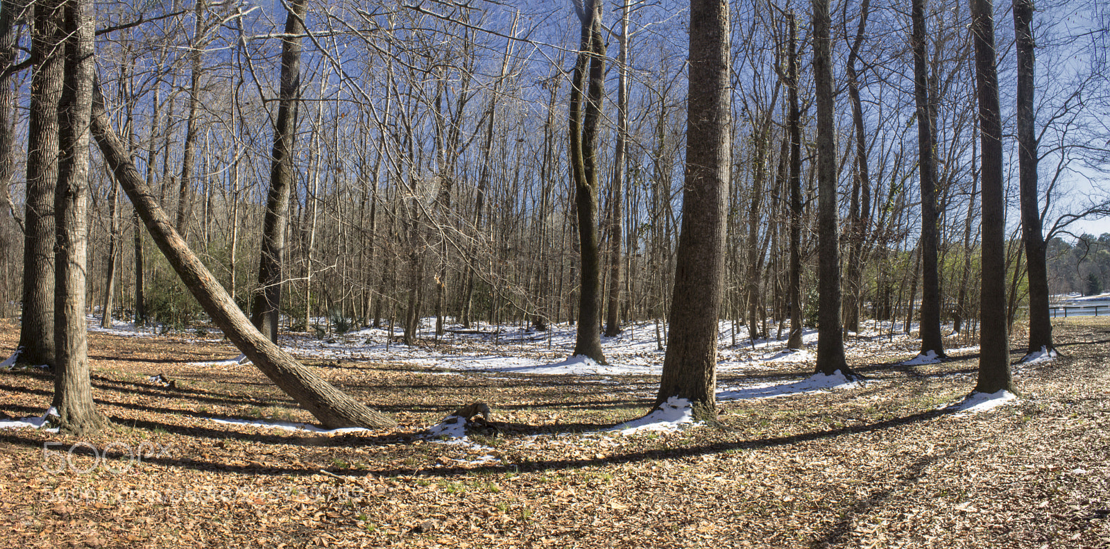 Canon EOS 1100D (EOS Rebel T3 / EOS Kiss X50) sample photo. The panoramic of a photography