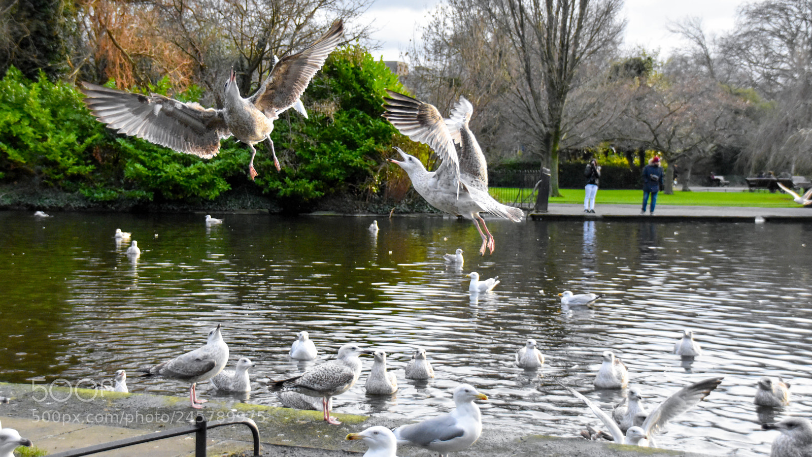 Nikon D5500 sample photo. Catching a bread photography