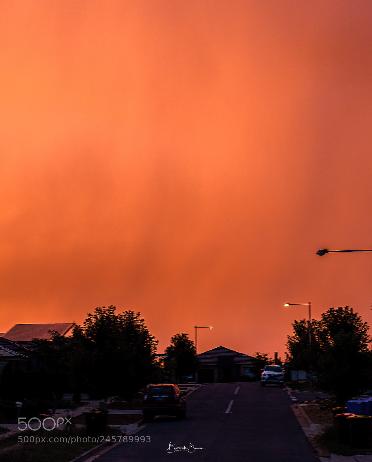 Nikon D810 sample photo. Red & firey photography