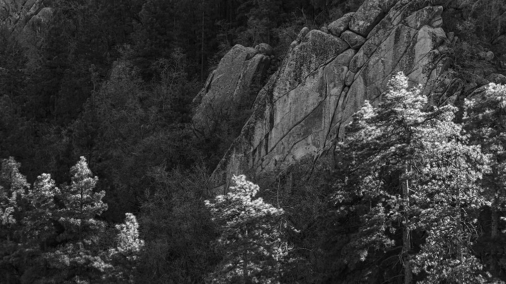 Sigma sd Quattro sample photo. Pines and formations photography