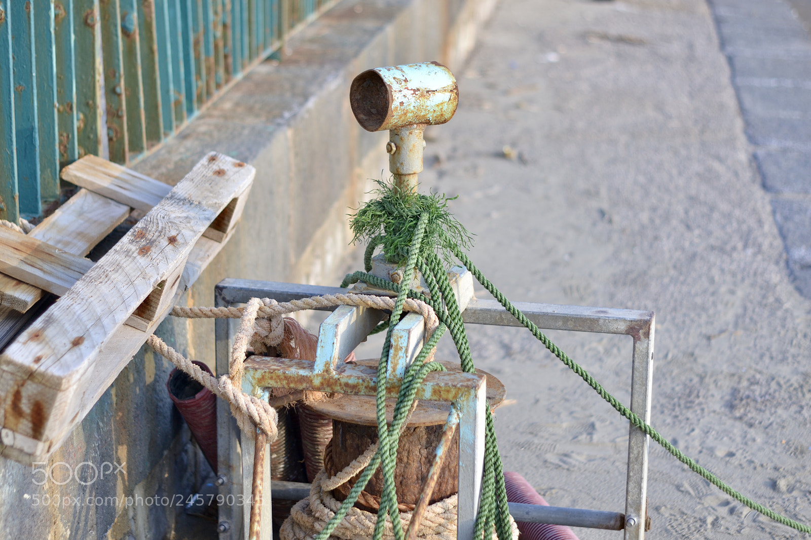 Nikon D3100 sample photo. Rottami spiaggiati - composizione photography