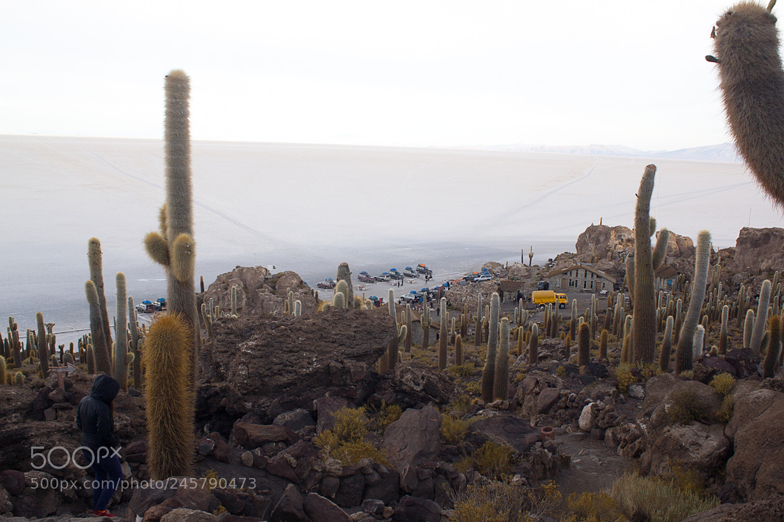 Canon EOS 550D (EOS Rebel T2i / EOS Kiss X4) sample photo. Salar de uyuni photography