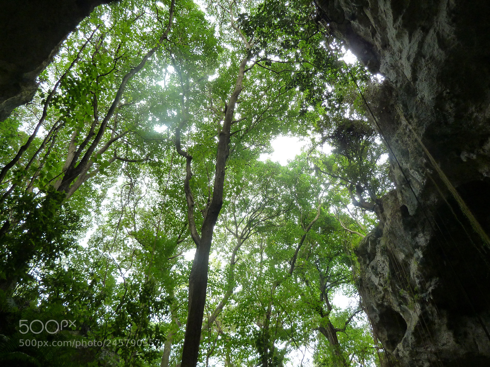 Panasonic Lumix DMC-ZS5 (Lumix DMC-TZ8) sample photo. En la cuevas de photography