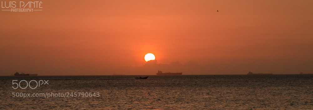 Nikon D3200 sample photo. Junst look at me photography