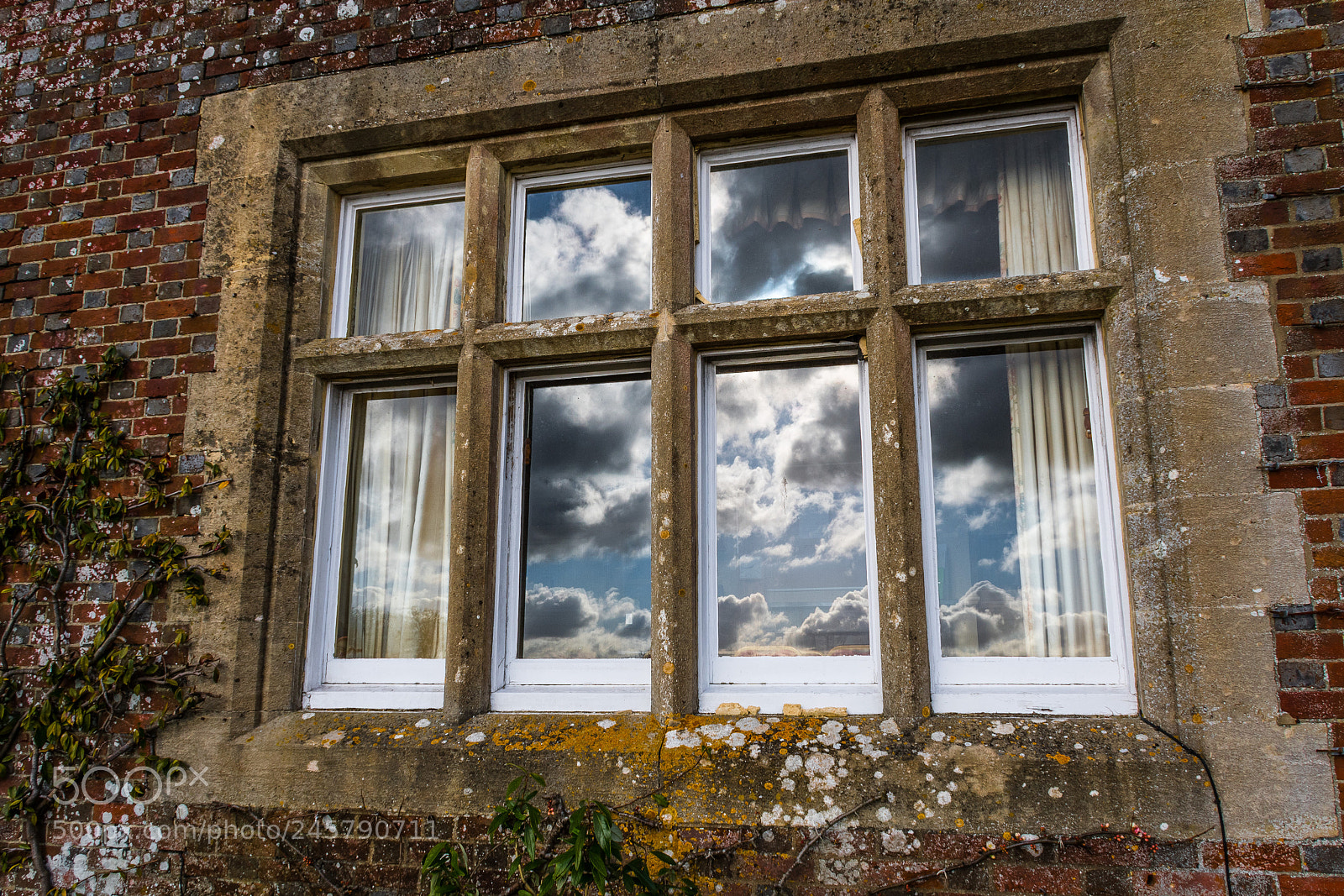 Nikon D500 sample photo. Reflection photography