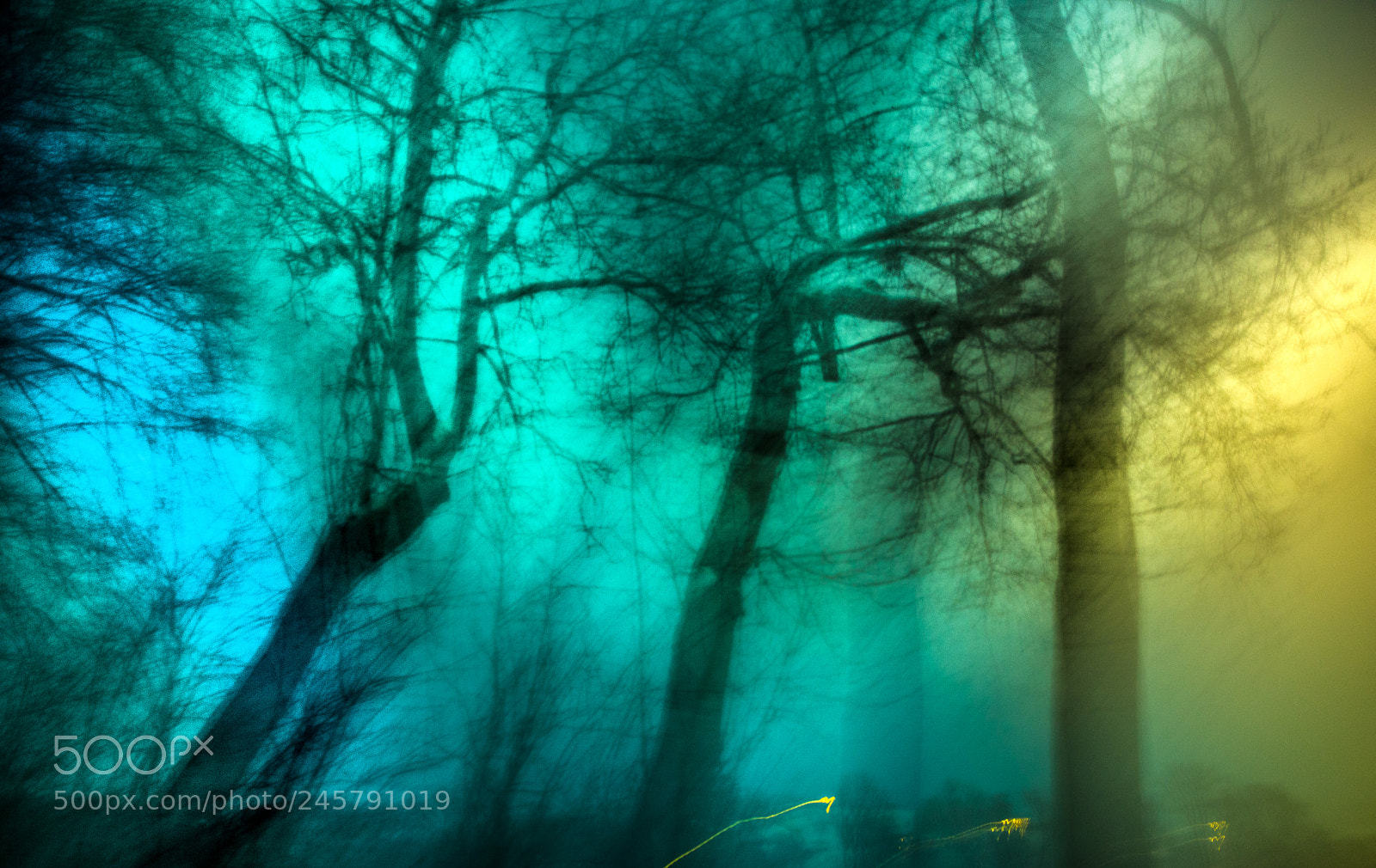 Nikon D610 sample photo. Light up photography