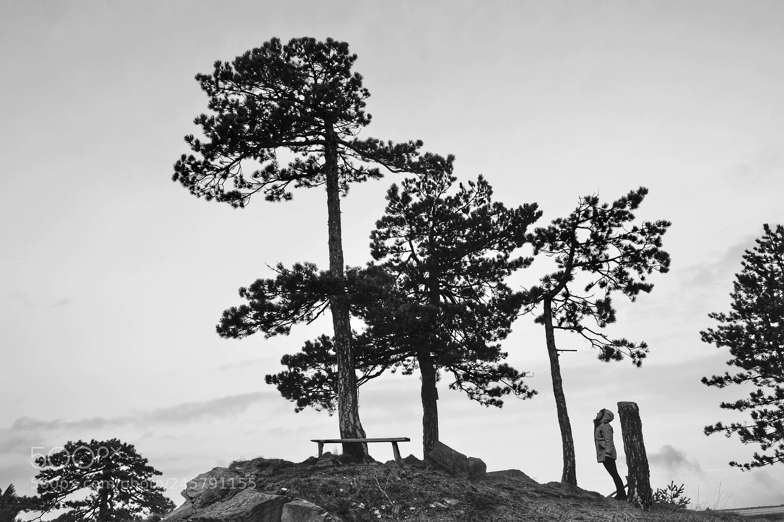 Nikon D3100 sample photo. A man in front photography