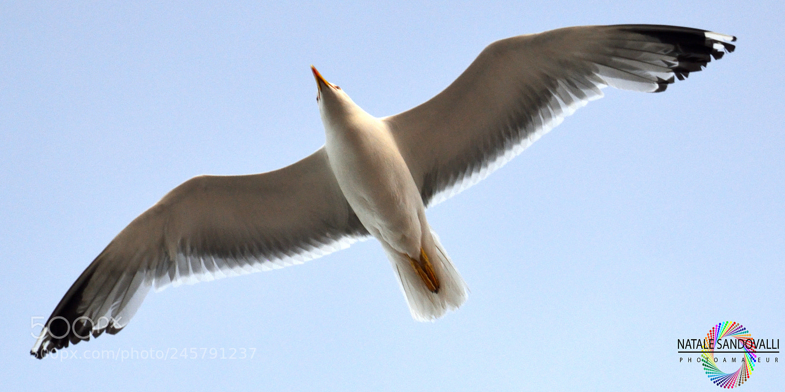 Nikon D3200 sample photo. Untitled photography