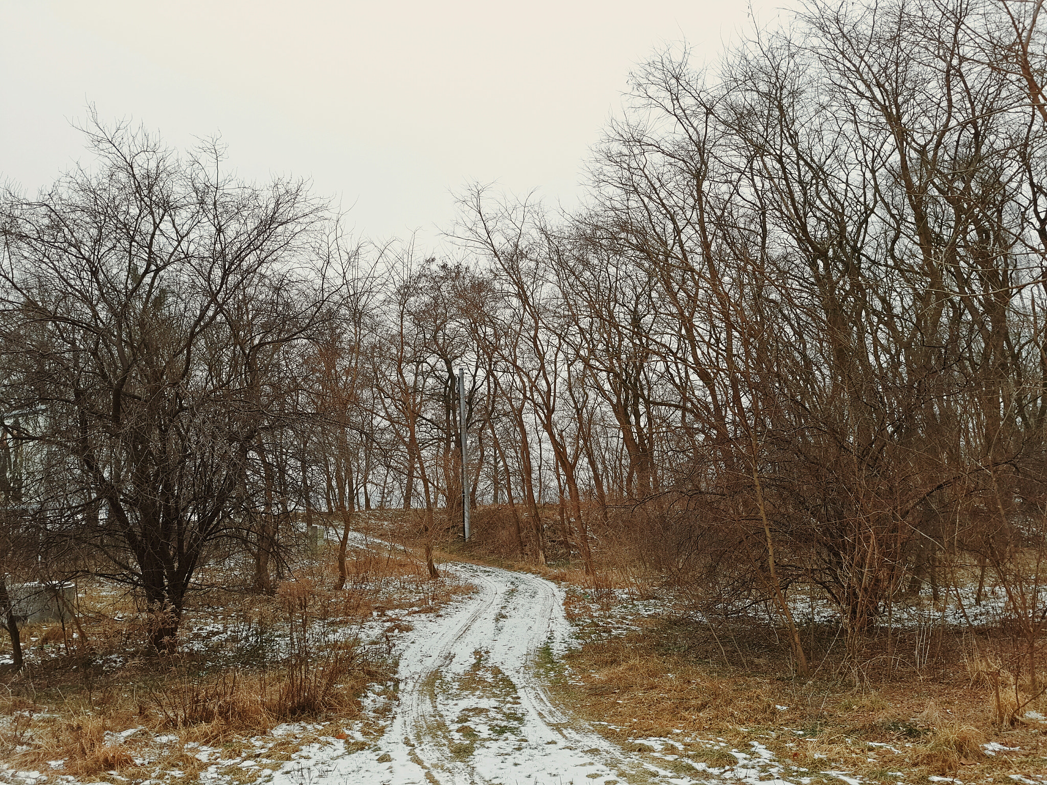 Meizu PRO 5 sample photo