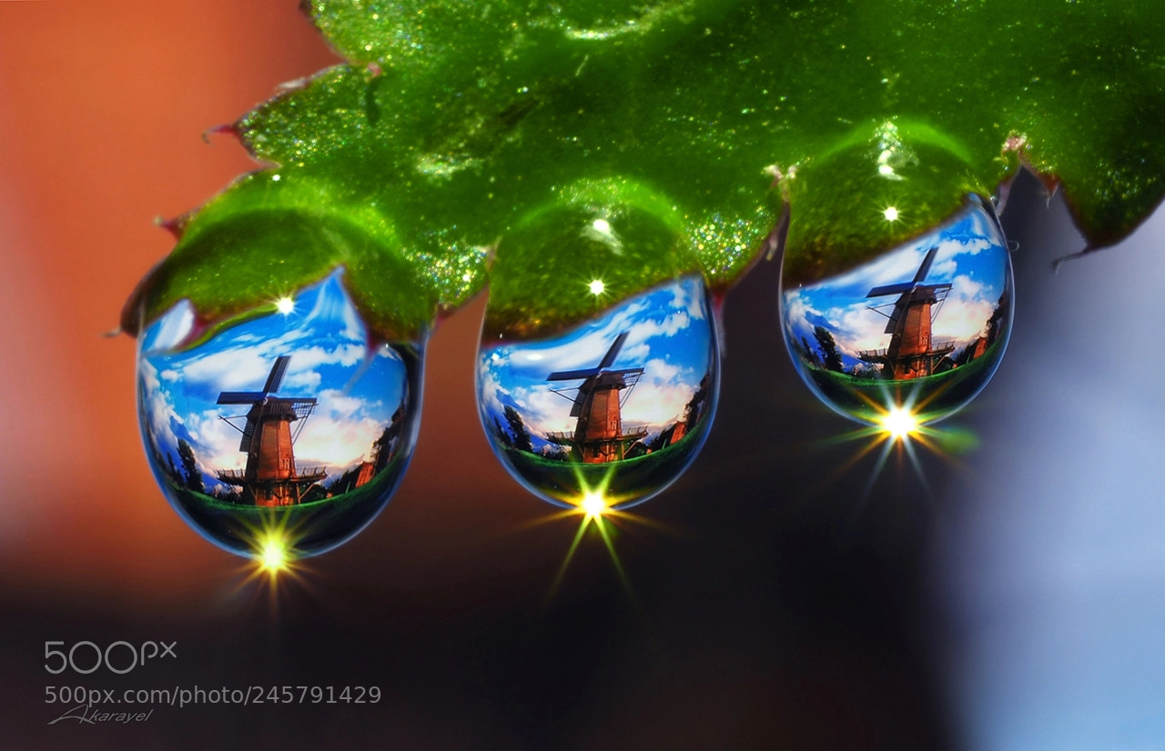 Olympus OM-D E-M5 II sample photo. Drops and reflections photography
