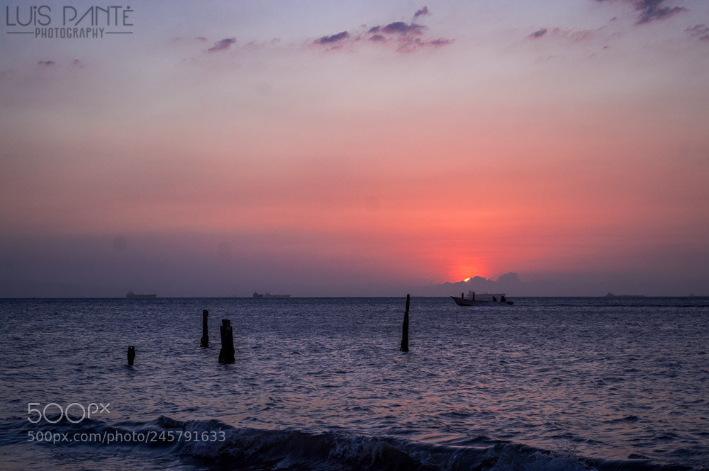 Nikon D3200 sample photo. Pink sky photography
