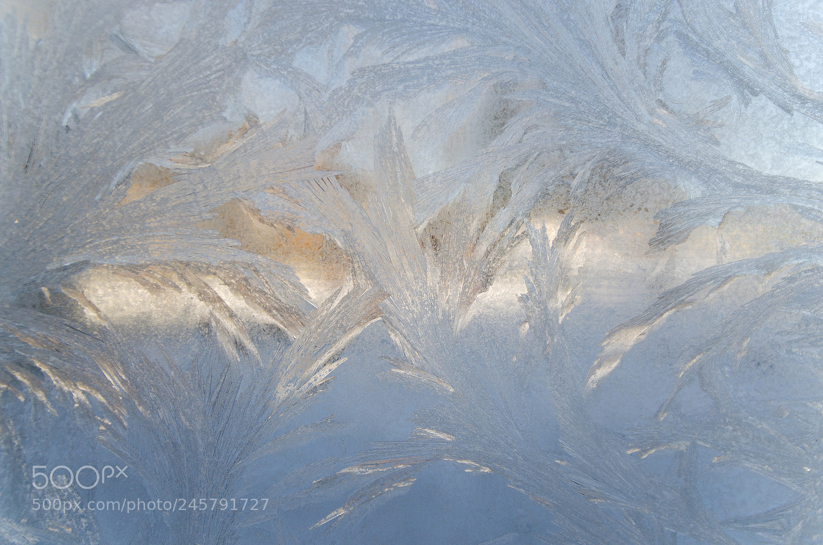 Nikon D5100 sample photo. Frosty window photography