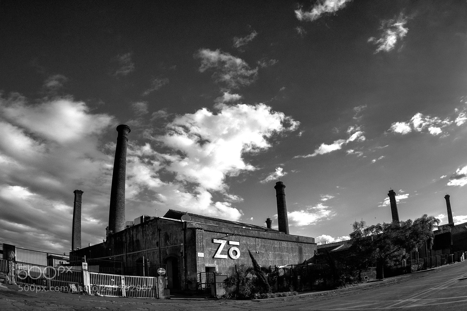 Olympus PEN-F sample photo. Zo photography