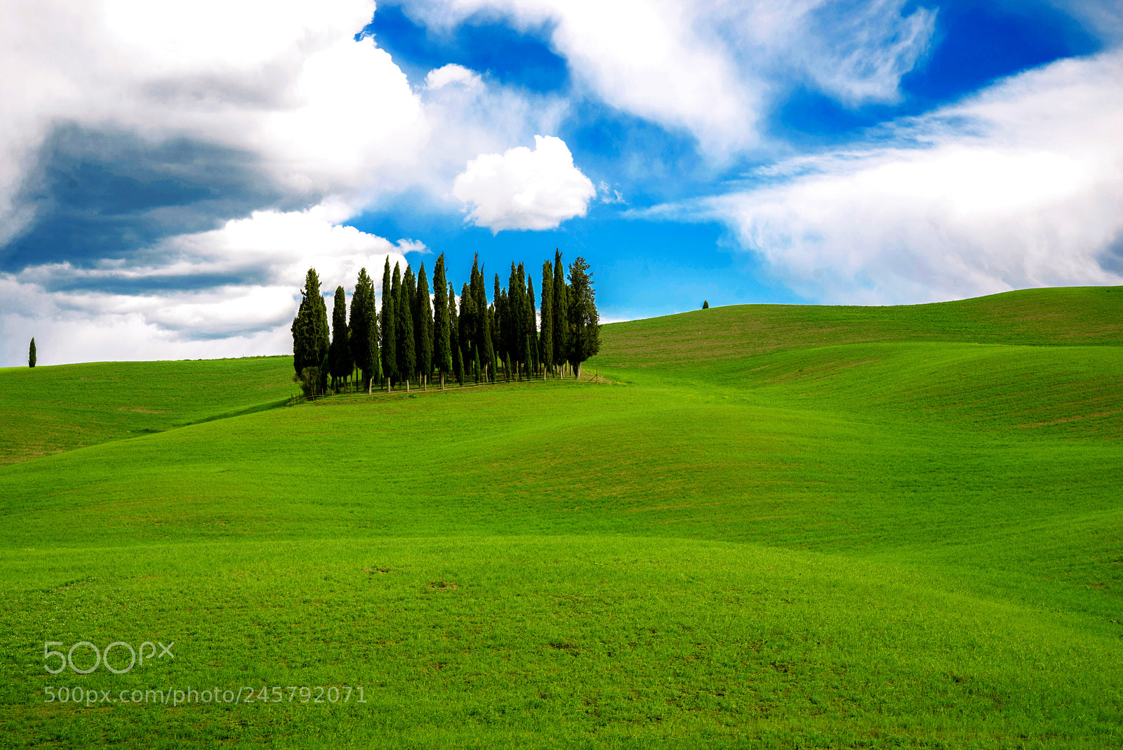 Nikon D600 sample photo. Val d' orcia photography