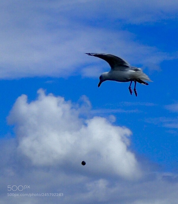 Olympus TG-4 sample photo. Untitled photography