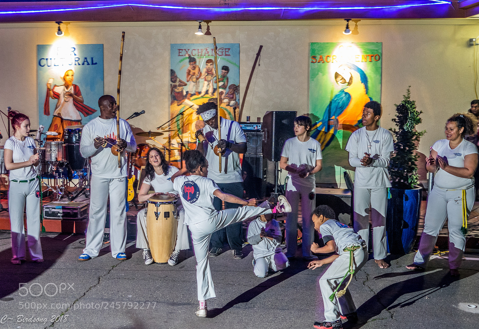 Sony a7 II sample photo. Sacramento brazilian carnival dsc photography
