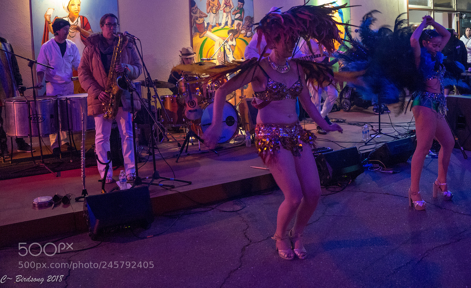 Sony a7 II sample photo. Sacramento brazilian carnival dsc photography