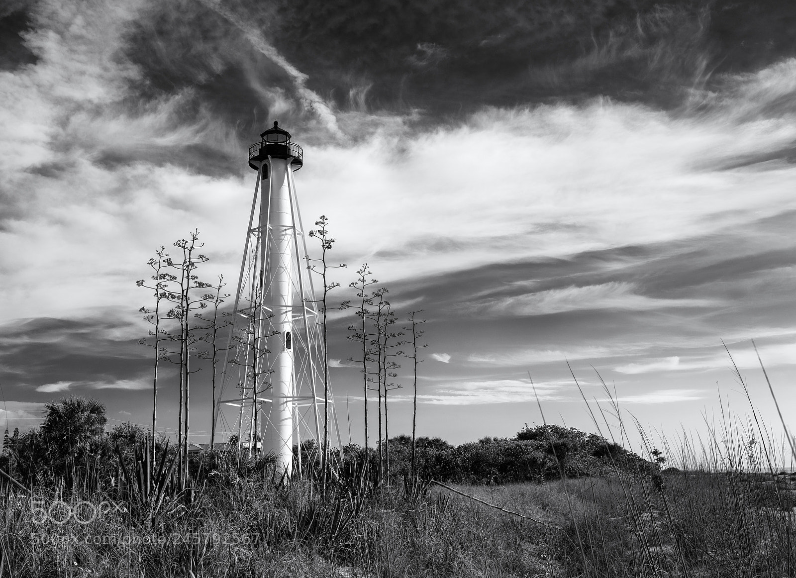 Hasselblad X1D-50c sample photo. Lighthouse photography