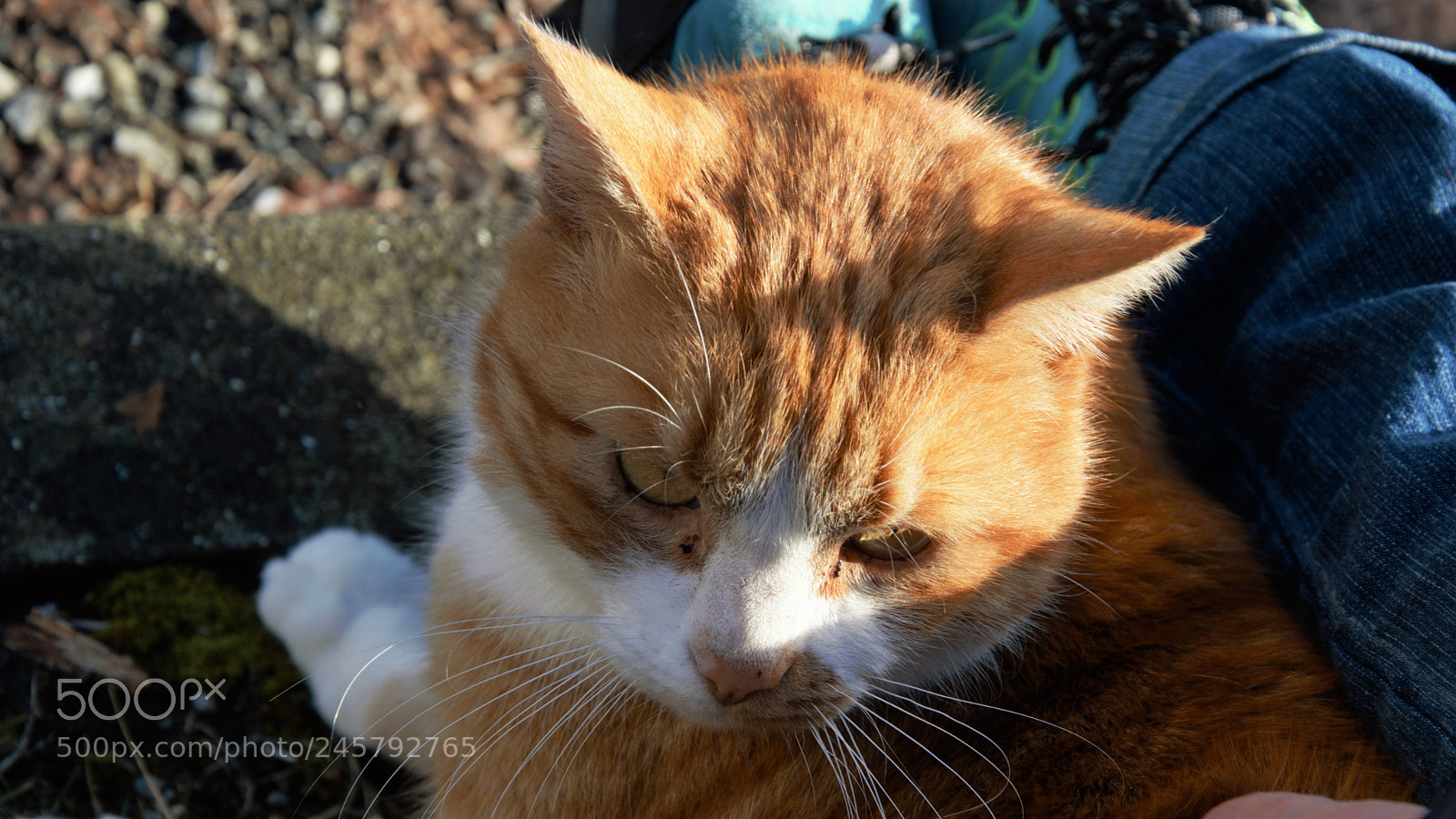 Nikon D3200 sample photo. Untitled photography