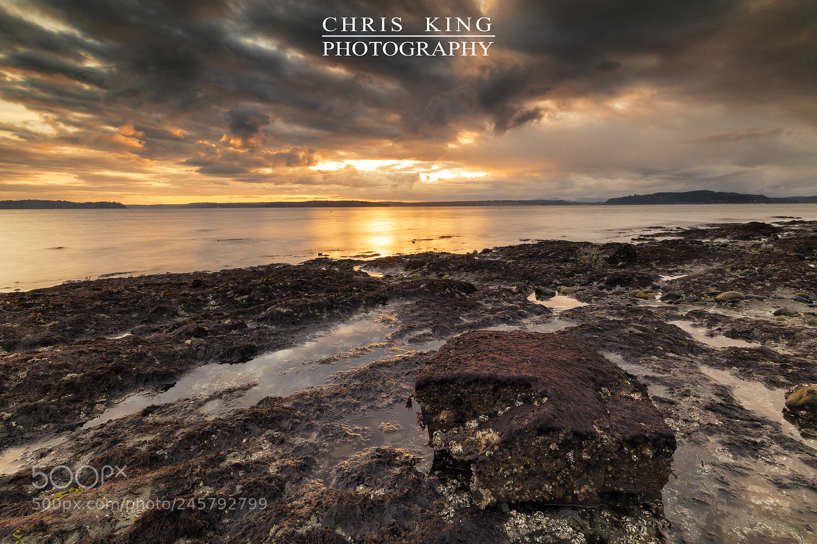 Canon EOS 5DS R sample photo. Untitled photography