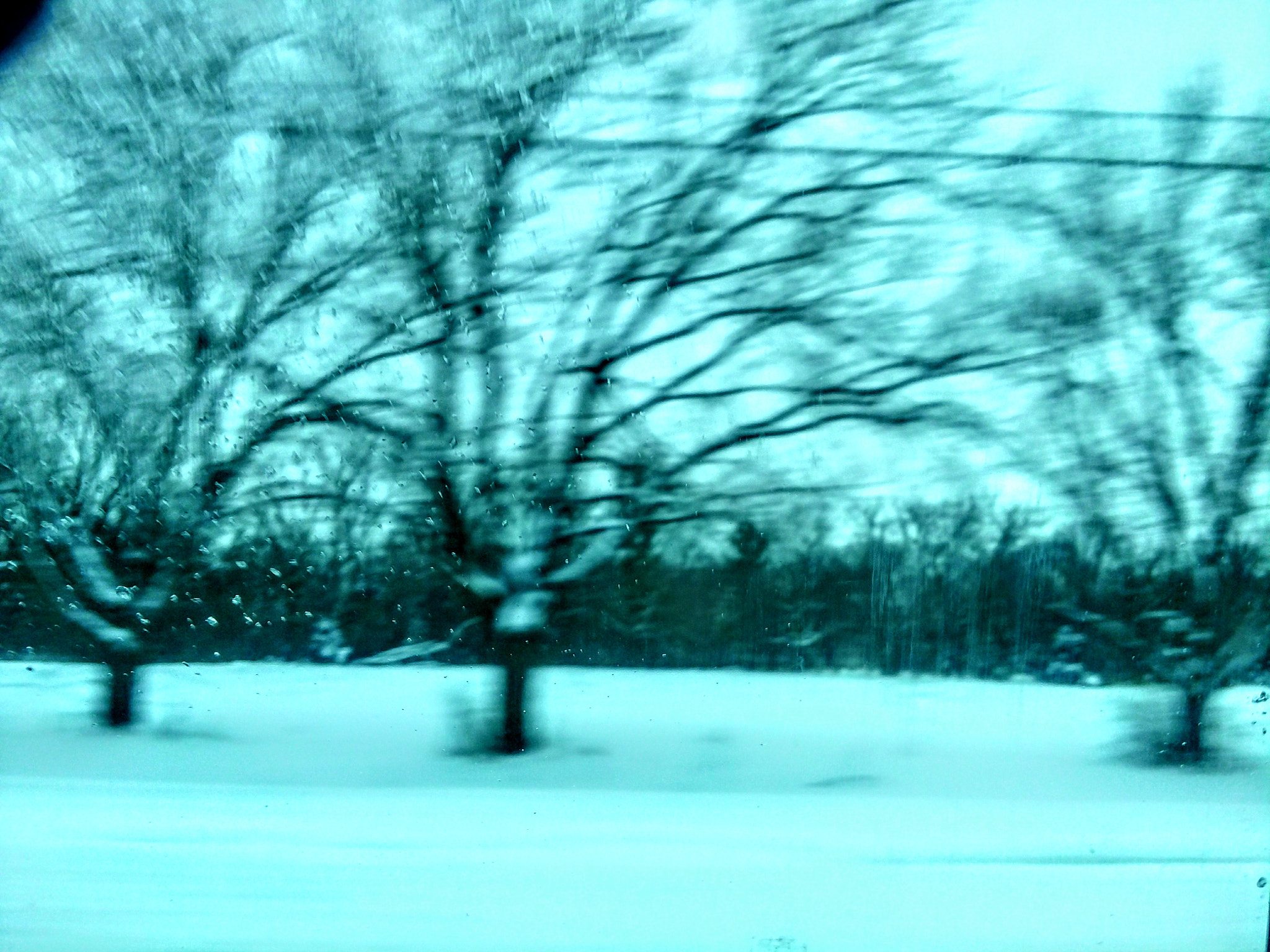 Motorola XT1650 sample photo