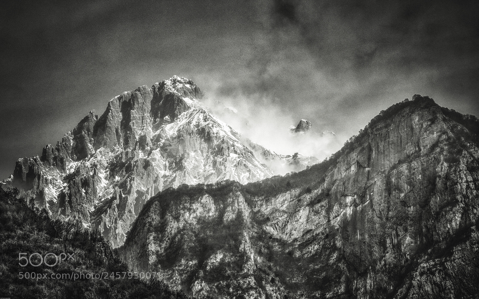Nikon D810 sample photo. Untitled photography