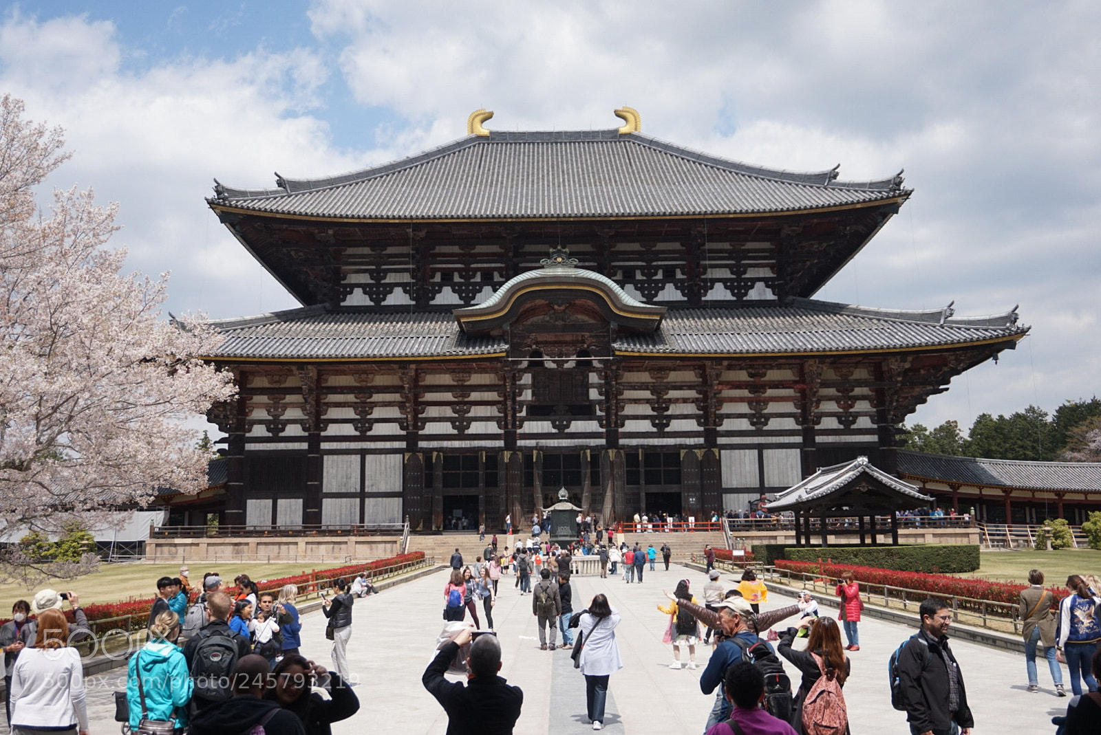 Sony Alpha a5000 (ILCE 5000) sample photo. Nara, japan photography