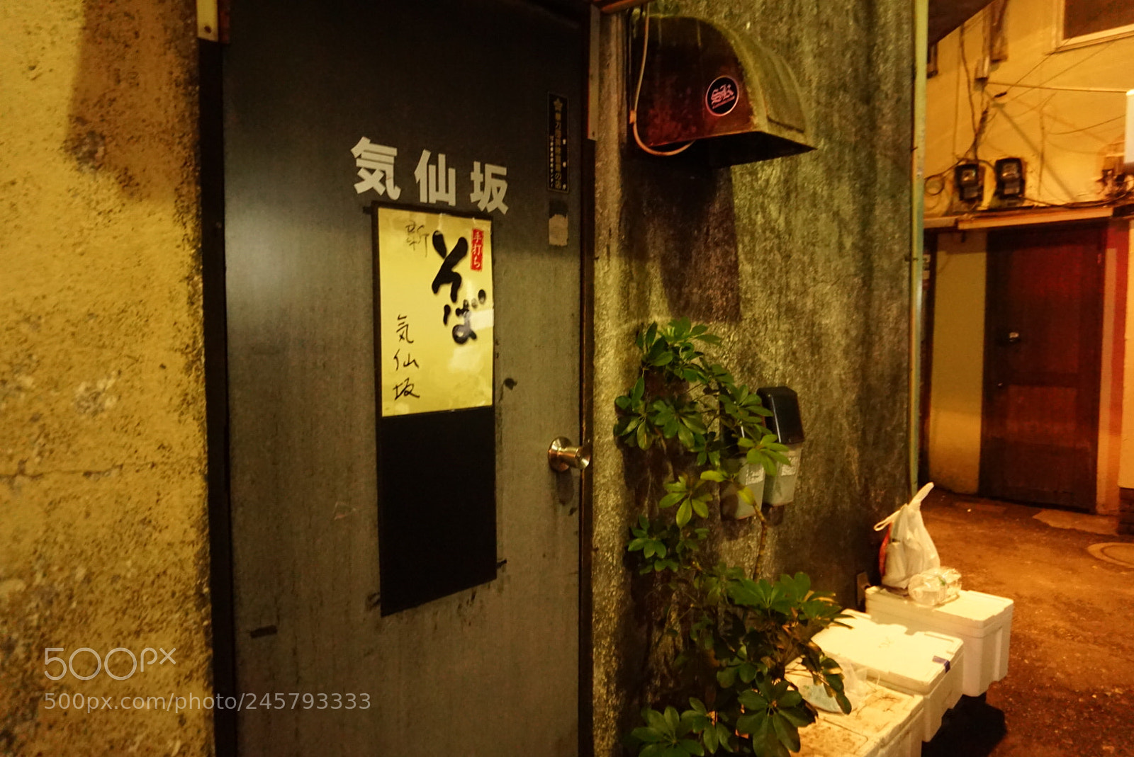 Sony Alpha a5000 (ILCE 5000) sample photo. Japan photography