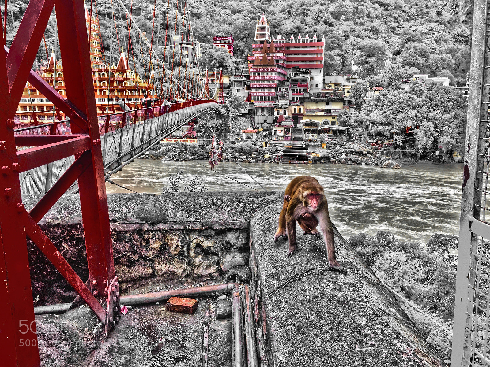 Apple iPhone 6 Plus sample photo. Monkey near bridge in photography