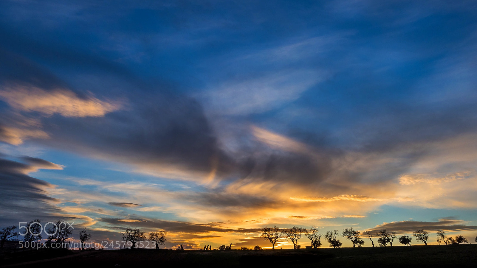 Olympus OM-D E-M1 Mark II sample photo. Low horizon.. photography