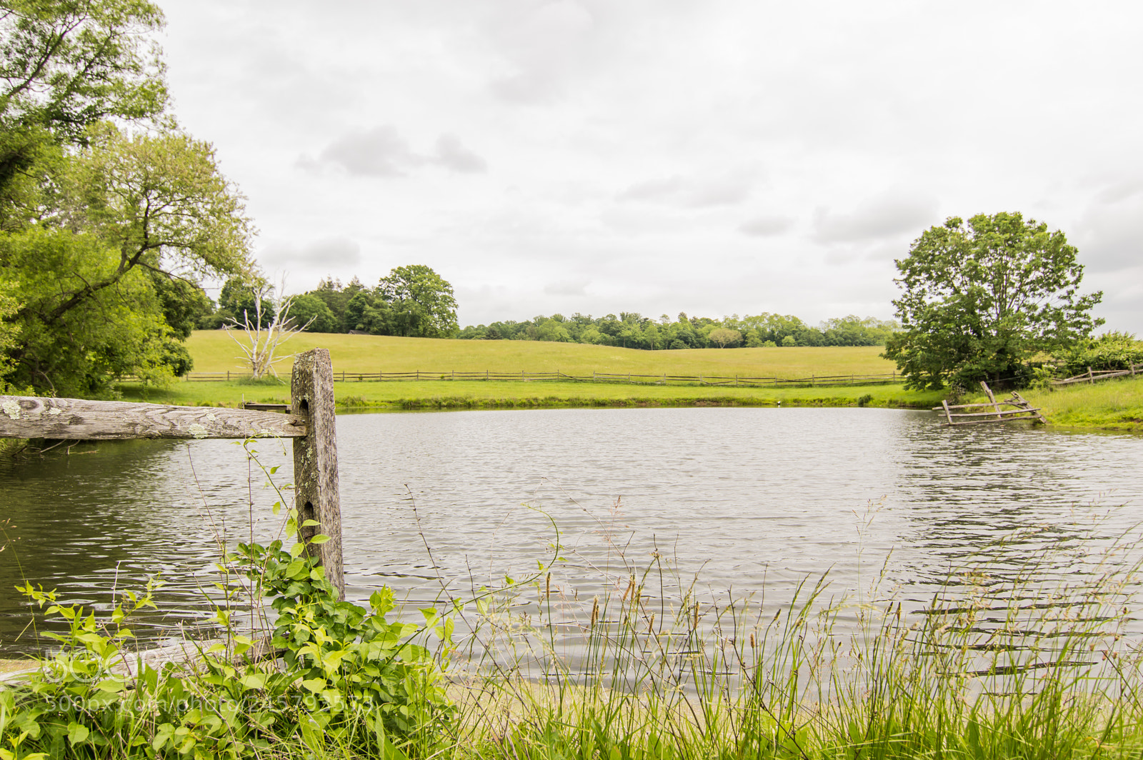 Nikon D3200 sample photo. Greenery by the sea photography