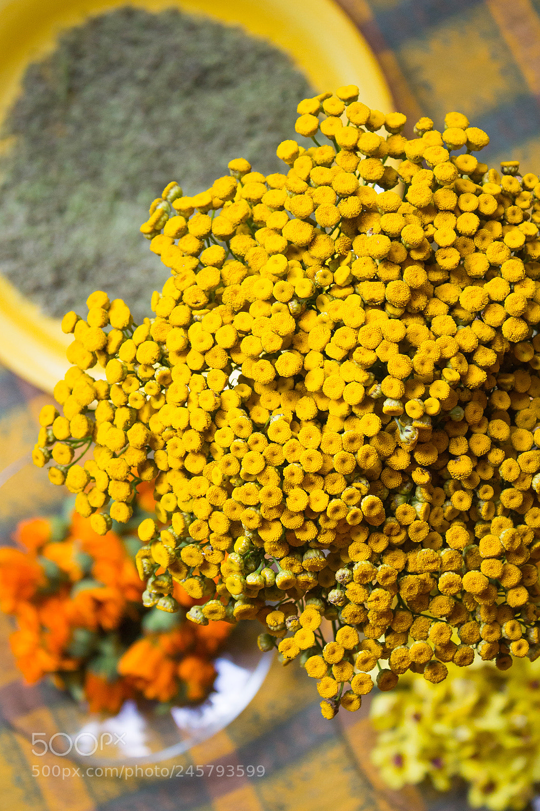 Canon EOS 600D (Rebel EOS T3i / EOS Kiss X5) sample photo. Yellow flowers photography