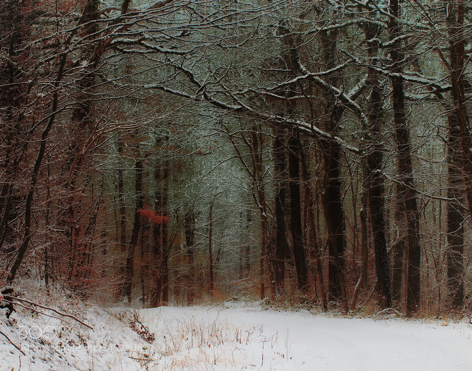 Canon EOS 7D Mark II sample photo. Jpg photography
