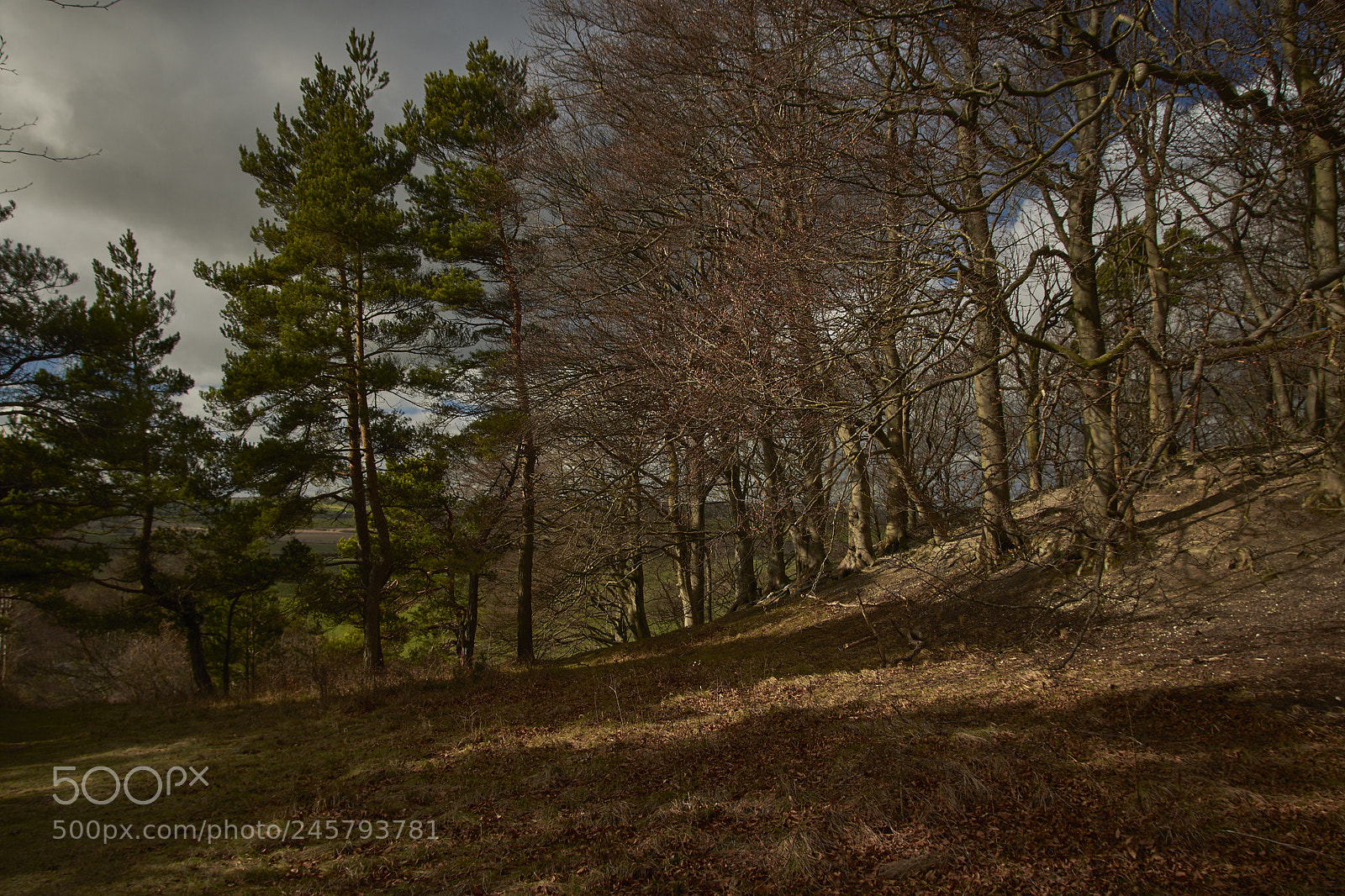 Nikon D7200 sample photo. Sharpenhoe clappers, bedfordshire, england photography