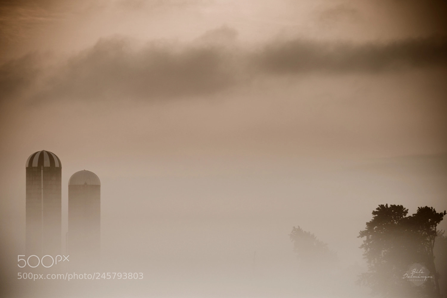 Nikon D810 sample photo. Silos in the fog photography