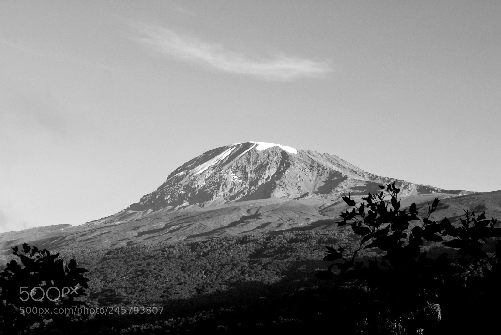 Nikon D60 sample photo. Jgm kili b&w photography