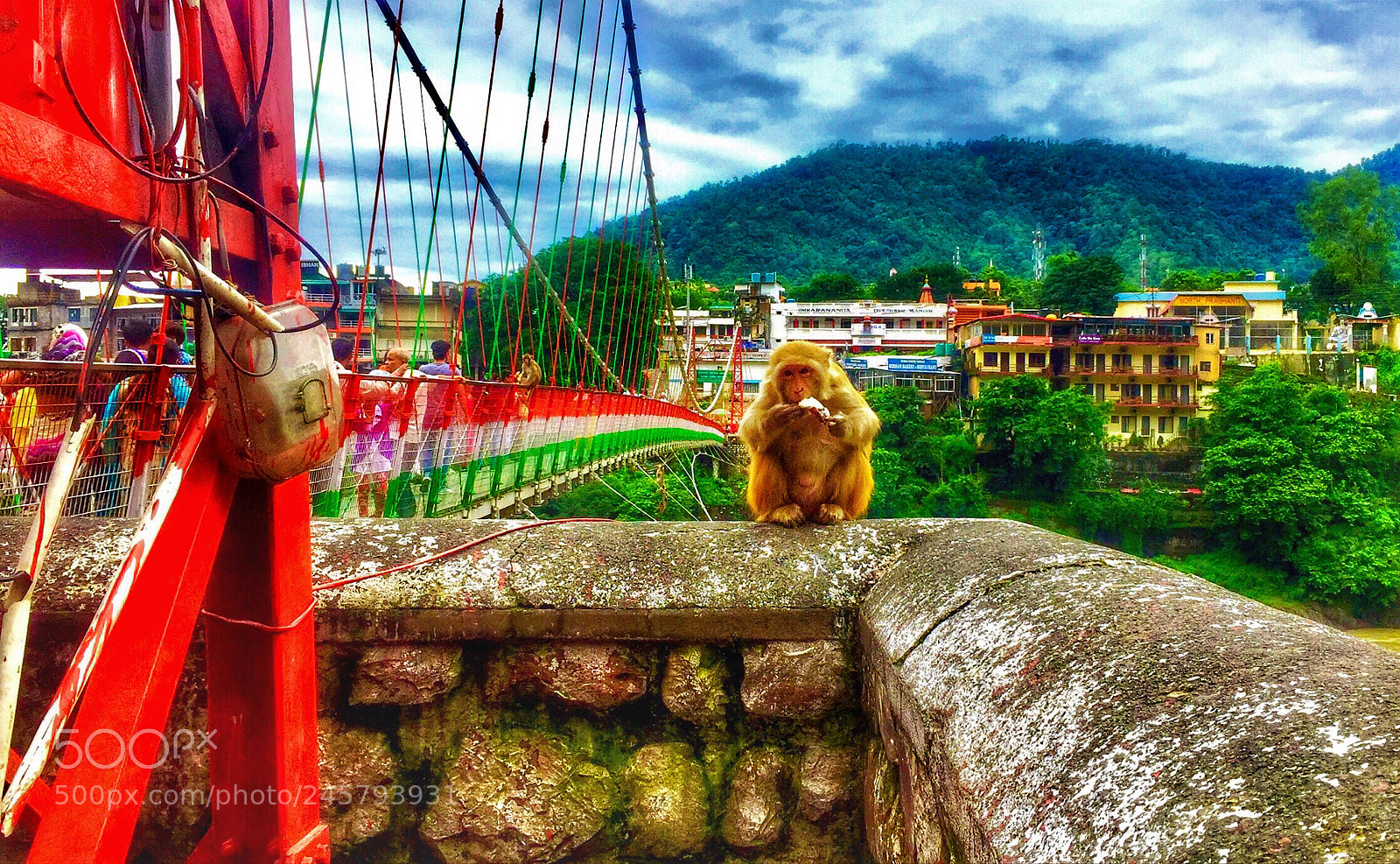 Apple iPhone 6 Plus sample photo. Monkey near bridge in photography