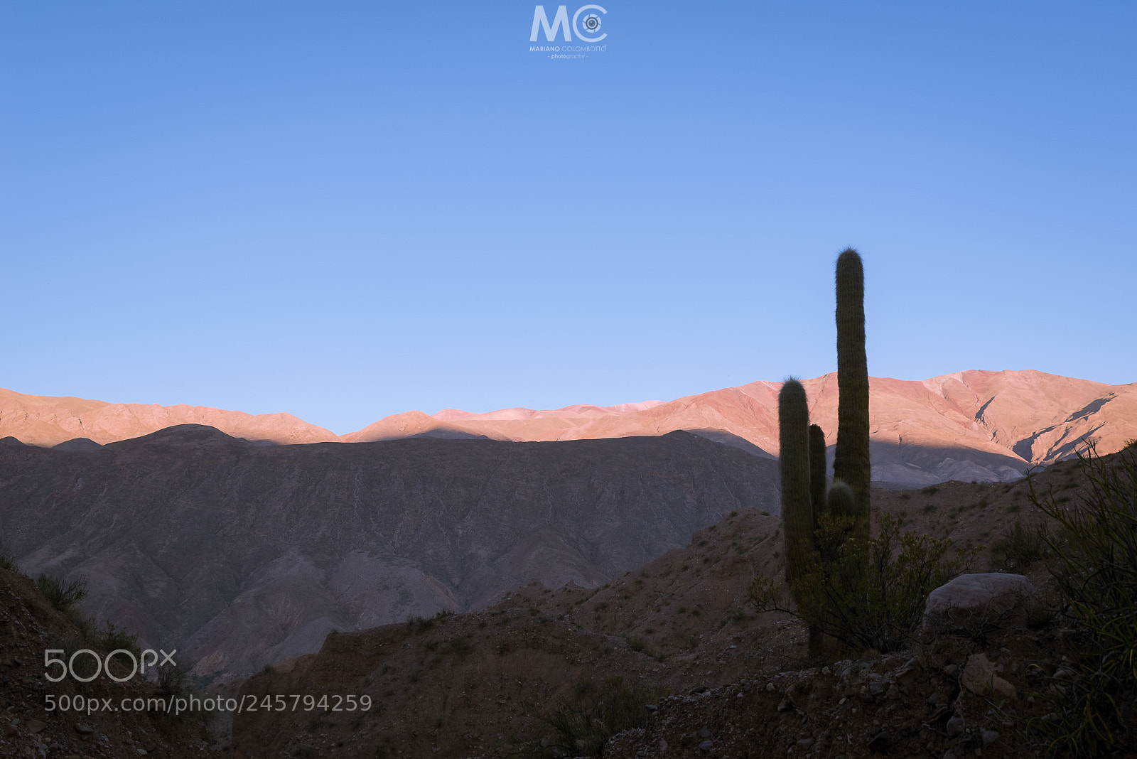Nikon D610 sample photo. Advancing sunset photography
