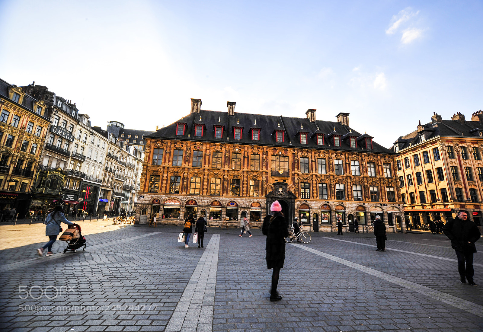 Nikon D700 sample photo. Visiting the city photography