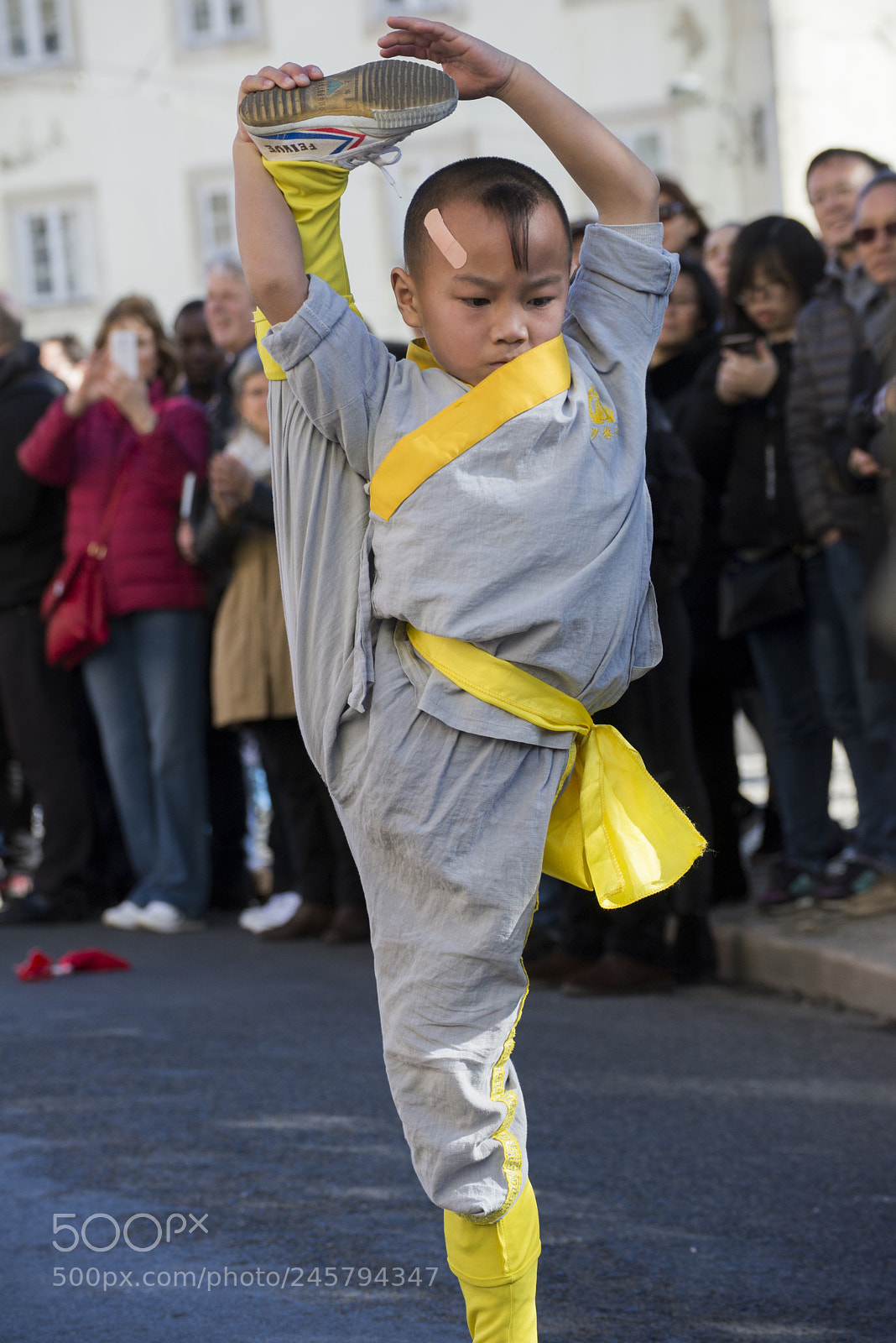 Nikon D610 sample photo. Ano novo chinês 2018. photography