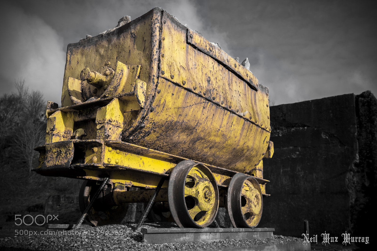 Fujifilm X-T1 sample photo. Yellow photography