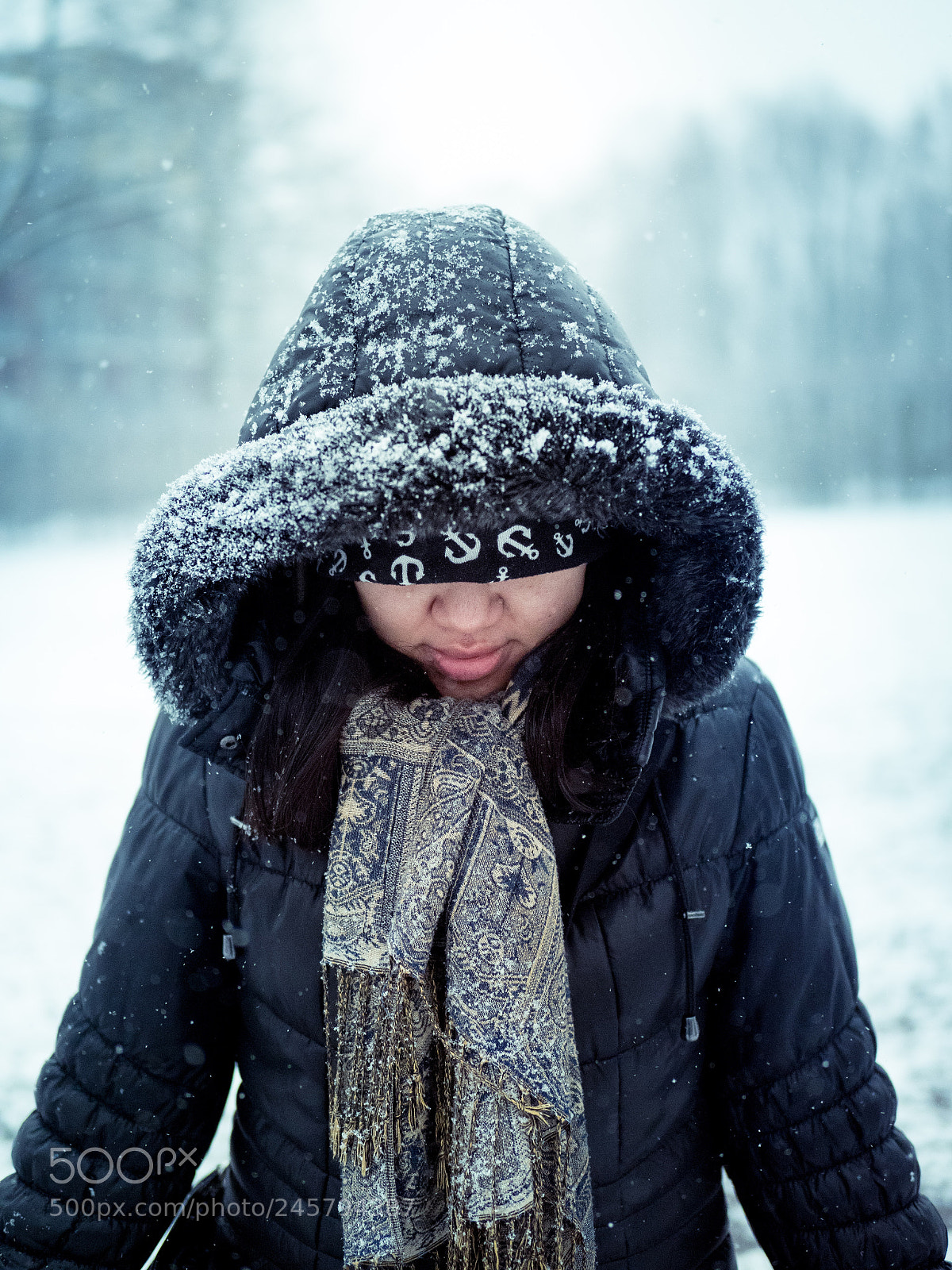 Olympus OM-D E-M1 Mark II sample photo. Walk in the snow photography