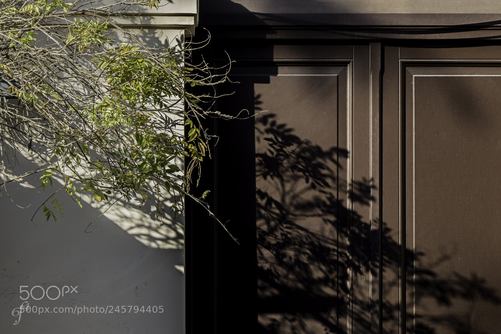 Canon EOS M5 sample photo. The shadow and its photography