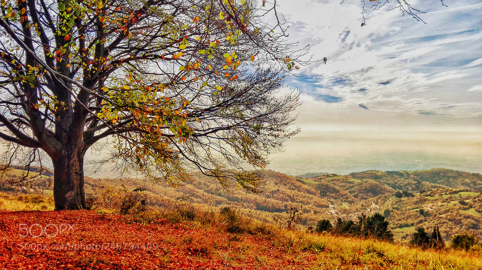 HUAWEI P8 Lite sample photo. Autumn calling photography