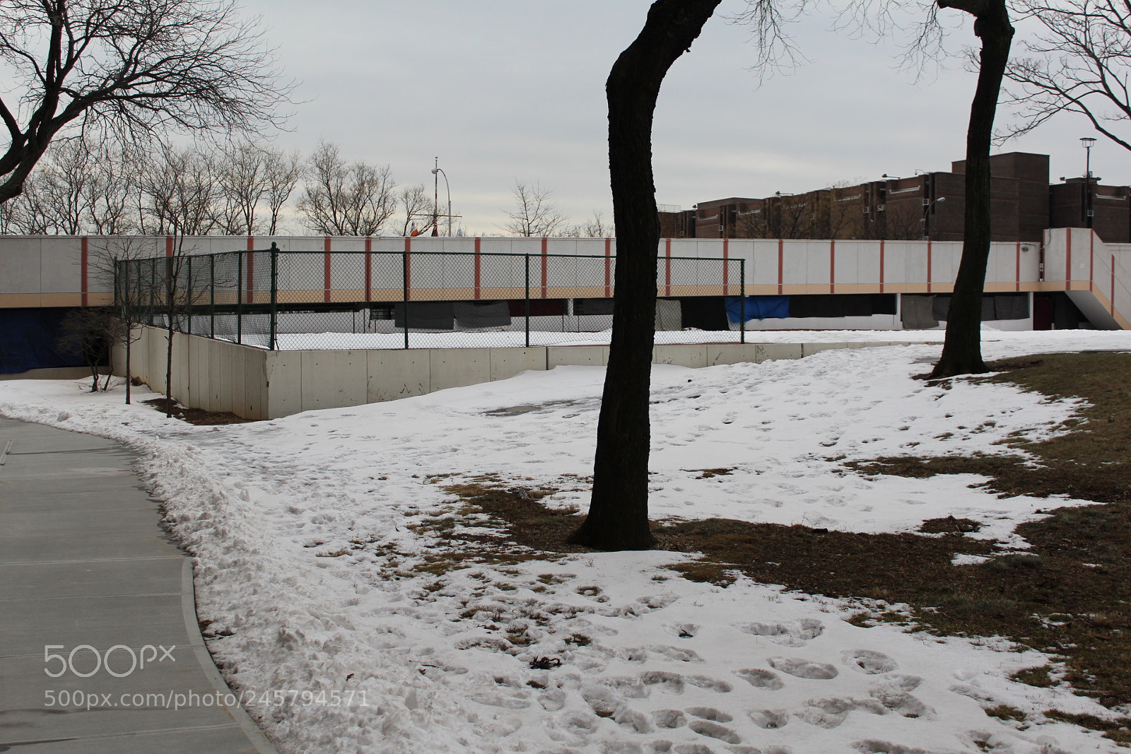 Canon EOS 1200D (EOS Rebel T5 / EOS Kiss X70 / EOS Hi) sample photo. Img photography