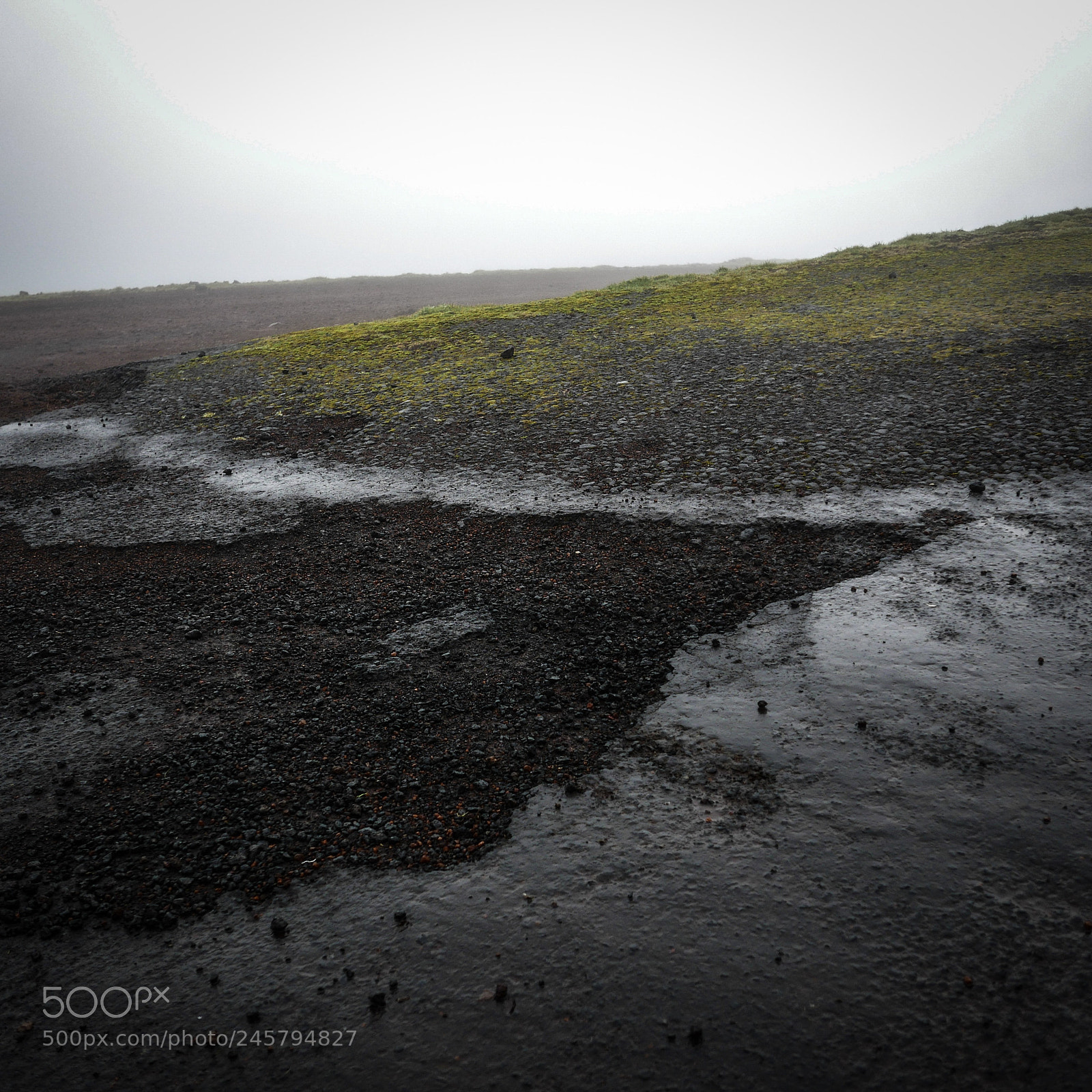 Panasonic Lumix DMC-LX100 sample photo. Nebel auf der insel photography