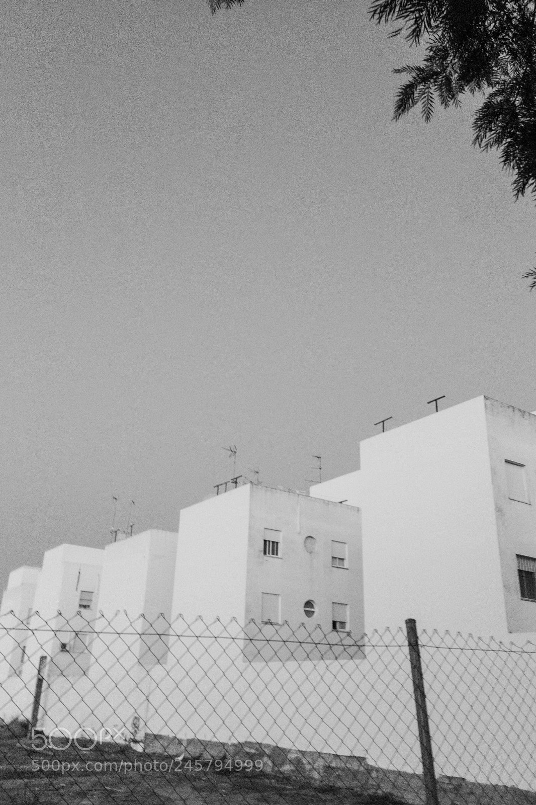 Apple iPhone SE sample photo. Blocks photography