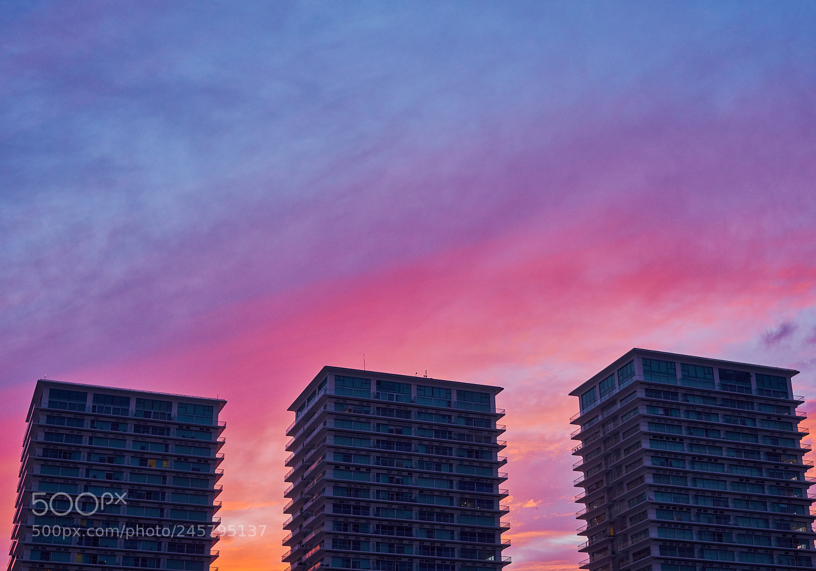 Sony a7R II sample photo. Colores del mar photography